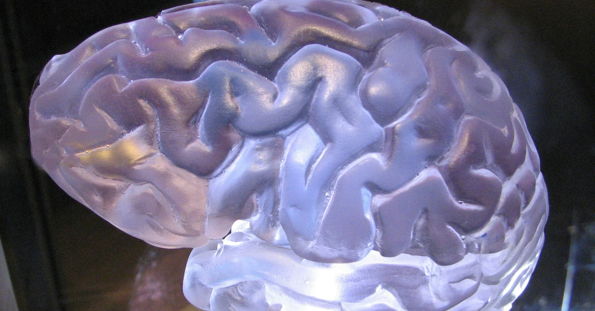 Przełom w walce z Alzheimerem: naukowcy odkrywają komórki, które mogą chronić mózg