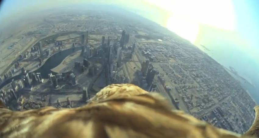 Perspektiva koja oduzima dah