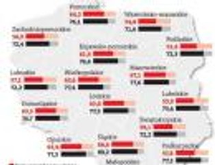Młode polskie firmy nie wierzą w internet