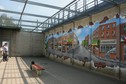 Murale zdobią mury spacerniaka w Zakładzie Karnym w Wojkowicach