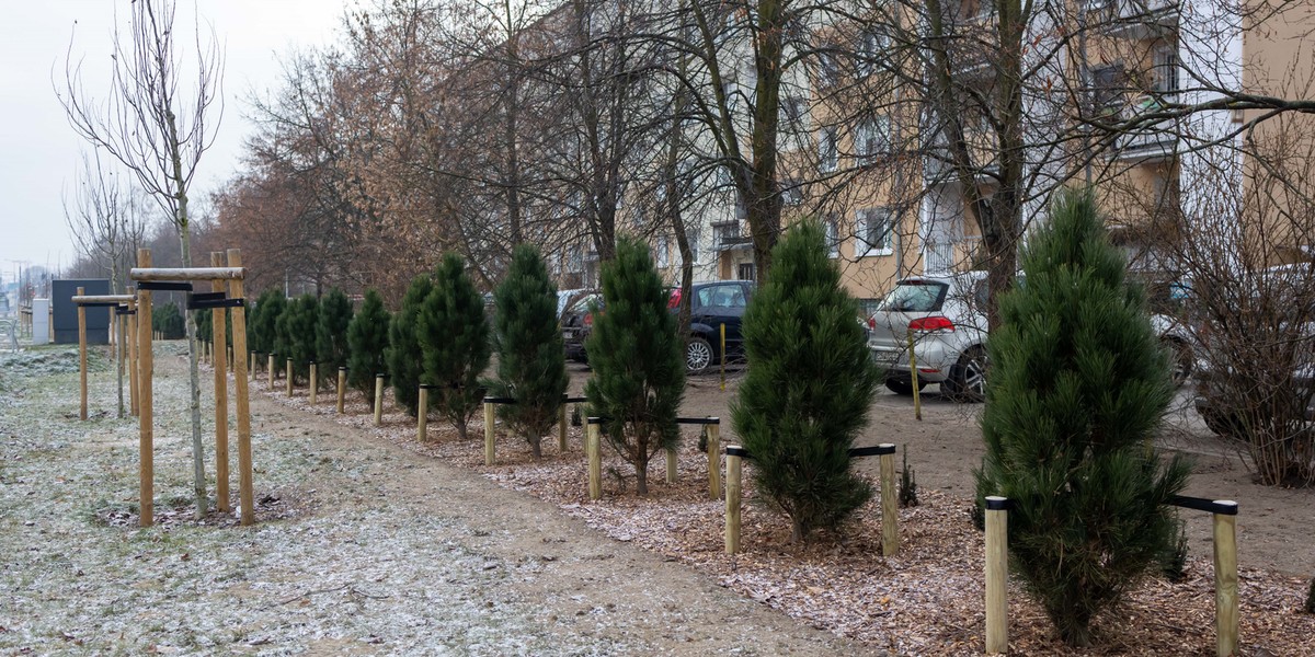 Park osłonowy na Naramowicach.