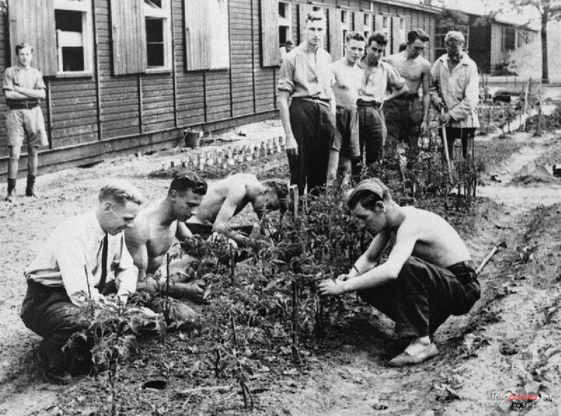 Więźniowie Stalag Luft III w czasie pracy