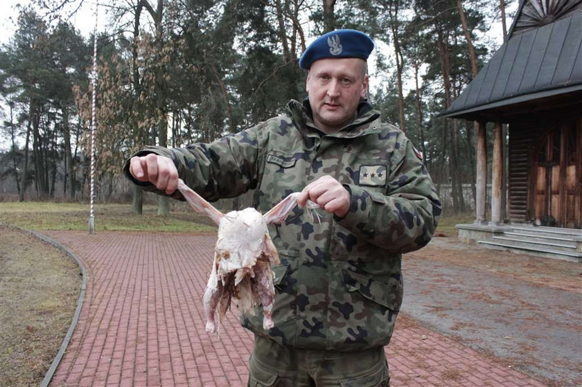 Saper ostrzega: Tyle zostanie z twojej ręki