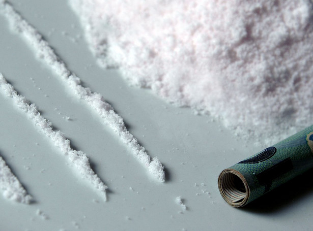Polacy wpadli na przemycie kokainy
