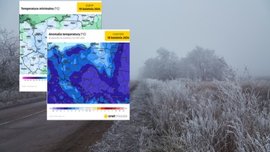 Dotkliwe przymrozki uderzą w Polskę. Możliwe spore straty