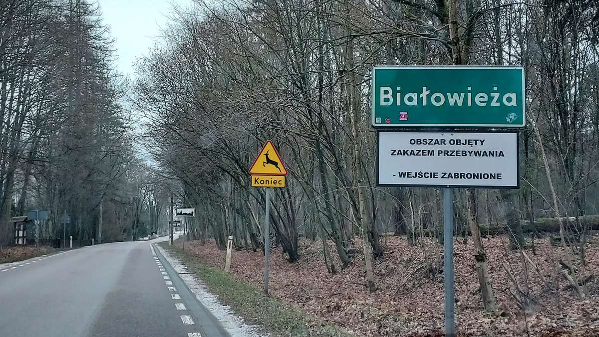 Kryzys migracyjny. Białowieża. Wojskowa wieś w strefie zamkniętej. Reportaż