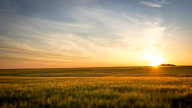 Kiedy wypada i ile potrwa najdłuższy dzień w 2021 r.?