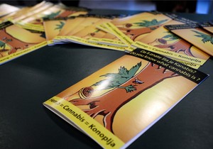 Nekoliko saveznih država juče je glasalo i o legalizaciji marihuane