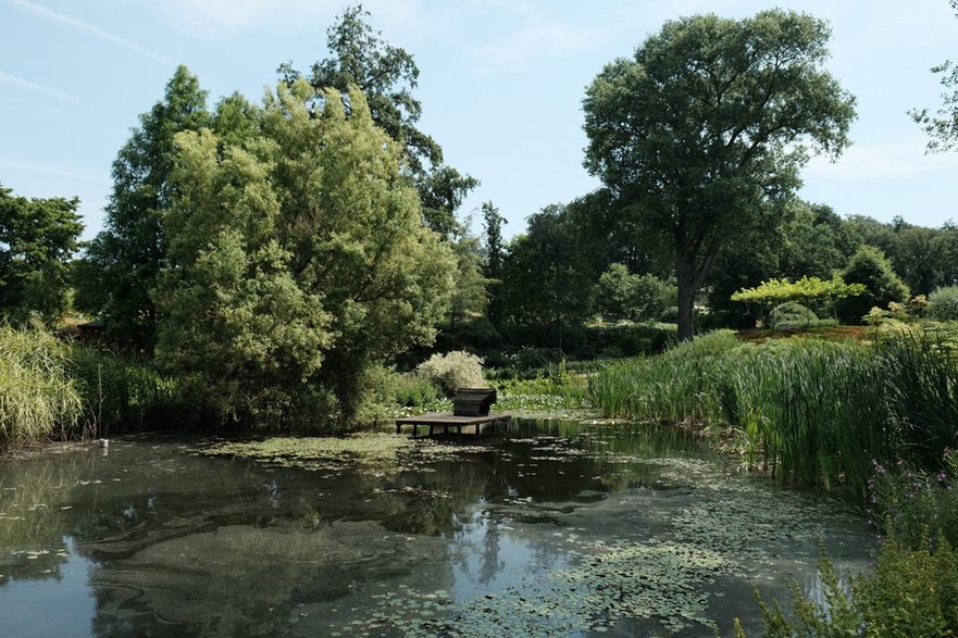 Arboretum w Wojsławicach