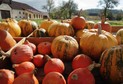 Austria szykuje się na Halloween