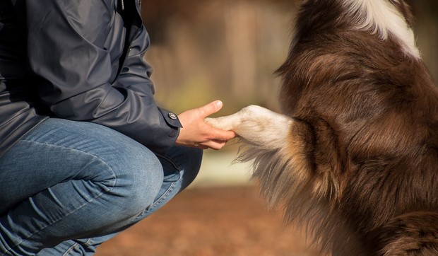 "Šta god odlučio odlučio si dobro zato što si odlučivao iz ljubavi. Da li će te ta odluka kopkati, to je već drugo"