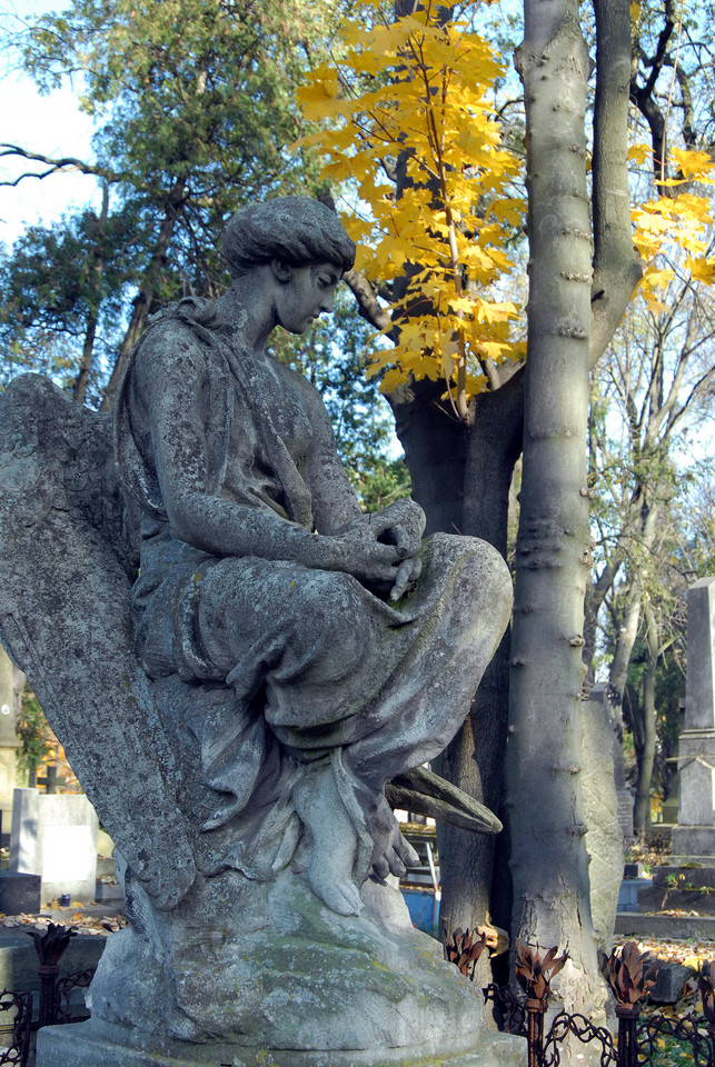 Lwów, Cmentarz Orląt Lwowskich