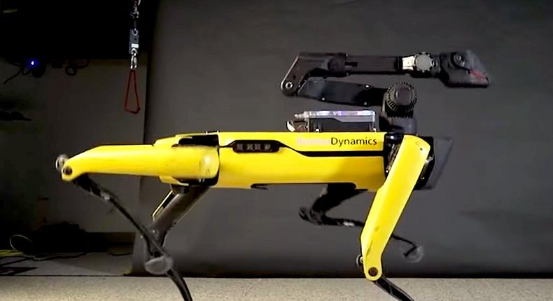 Boston Dynamics