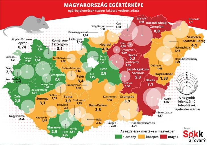 Borsodból jött a legtöbb egérészlelés / Fotó: Sokk a rovar