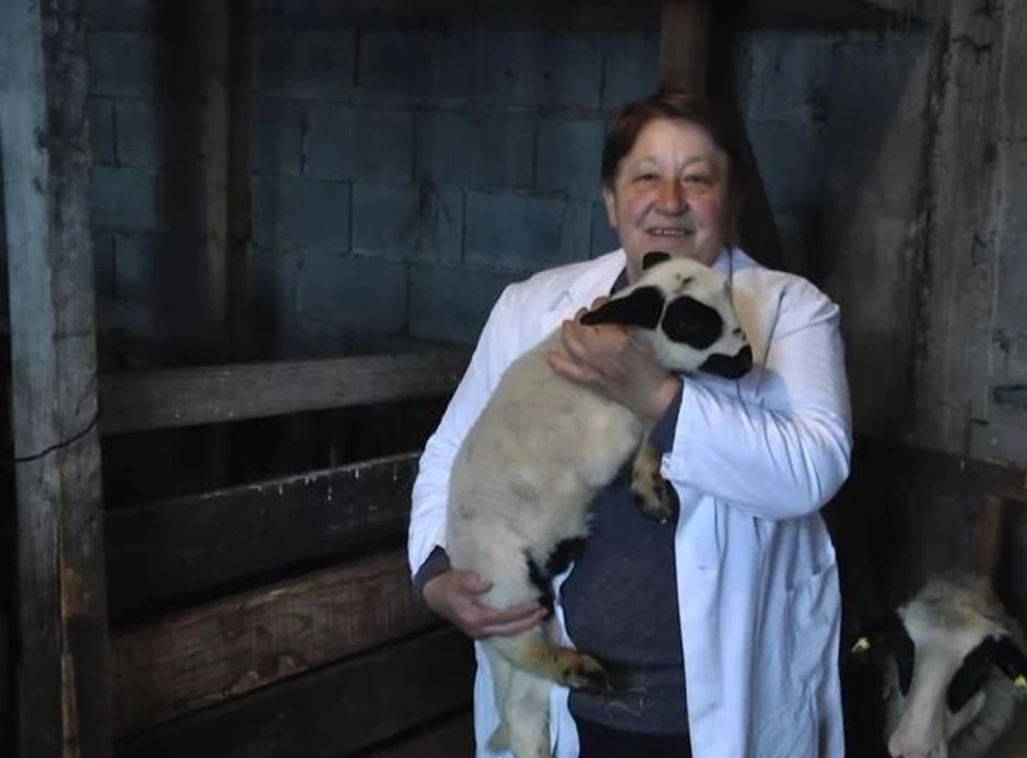 Zorica sa jednom od ovčica