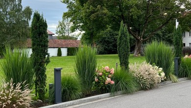 Wąska rabata wzdłuż podjazdu. Jakie bezproblemowe rośliny posadzić przed domem?