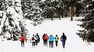 Zimowe szlaki turystyczne w Karkonoszach