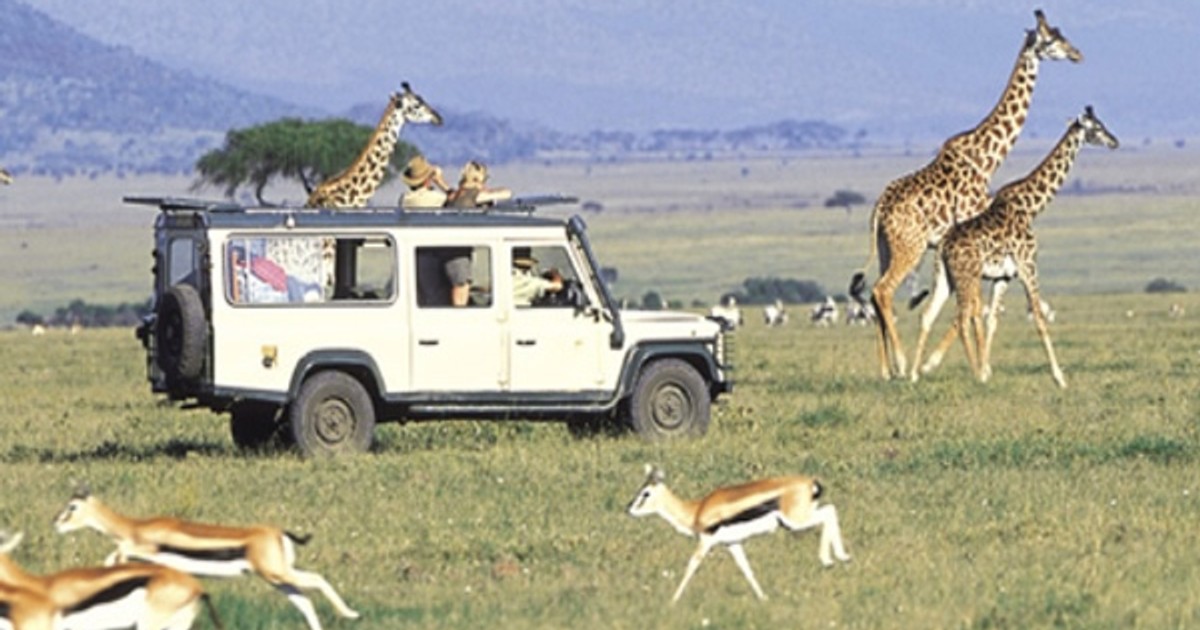 Kenya’s tourism market makes an impressive comeback Business Insider