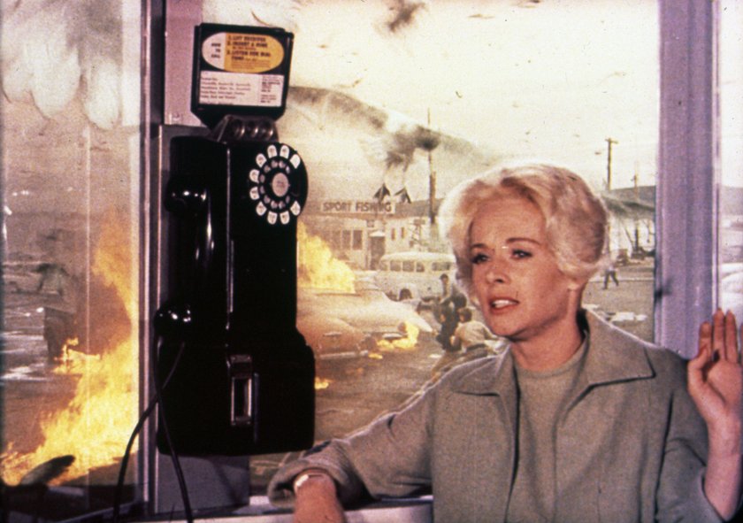 Tippi Hedren w filmie „Ptaki”