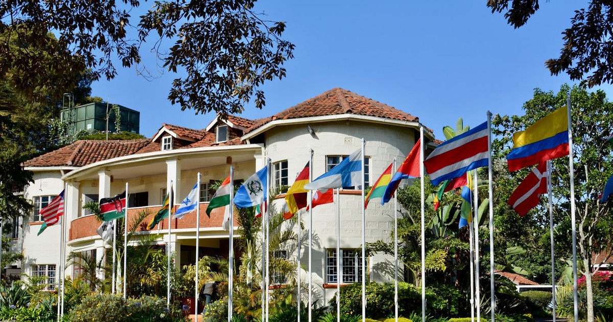 Top 9 most expensive schools in Africa Pulselive Kenya