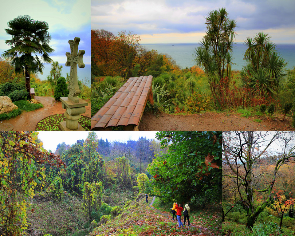 Ogród Botaniczny w Batumi