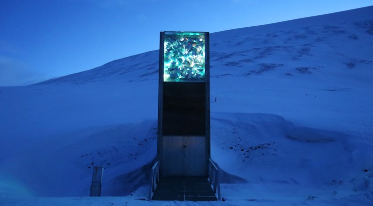 Spitzbergák Nemzetközi Magbunker