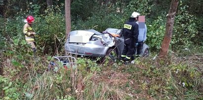 Policjanci dostali zgłoszenie o rozbitym aucie w lesie. Na miejscu dokonali strasznego odkrycia. Co się stało na drodze pod Bełchatowem?