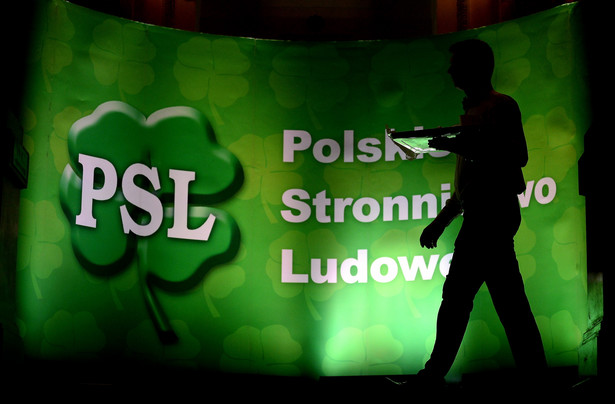 Minister rolnictwa: Stawiam na młodych, nie kandyduję na szefa PSL