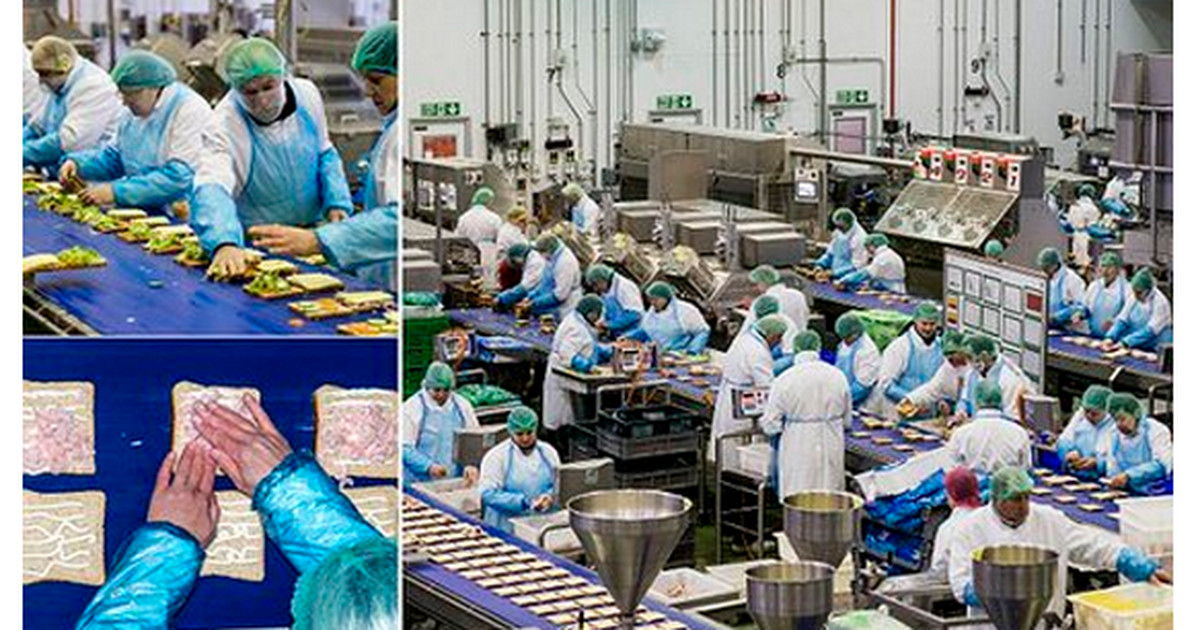 Jak wygląda praca polskich imigrantów w fabryce kanapek? Niesmacznie -  Wiadomości