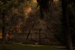 Dlaczego Ameryka Łacińska płonie? Przyczyną są zmiany klimatyczne, ale nie tylko