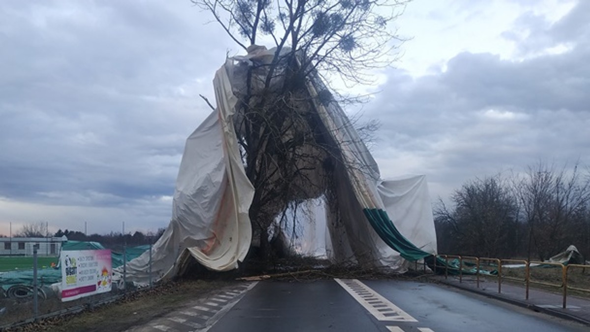 Strażacy próbują usunąć namiot pneumatyczny hali sportowej, który został zerwany w wyniku silnego podmuchu wiatru. Zerwany namiot od kilku godzin blokuje jedną z dróg powiatowych w Łajskach w powiecie legionowskim.