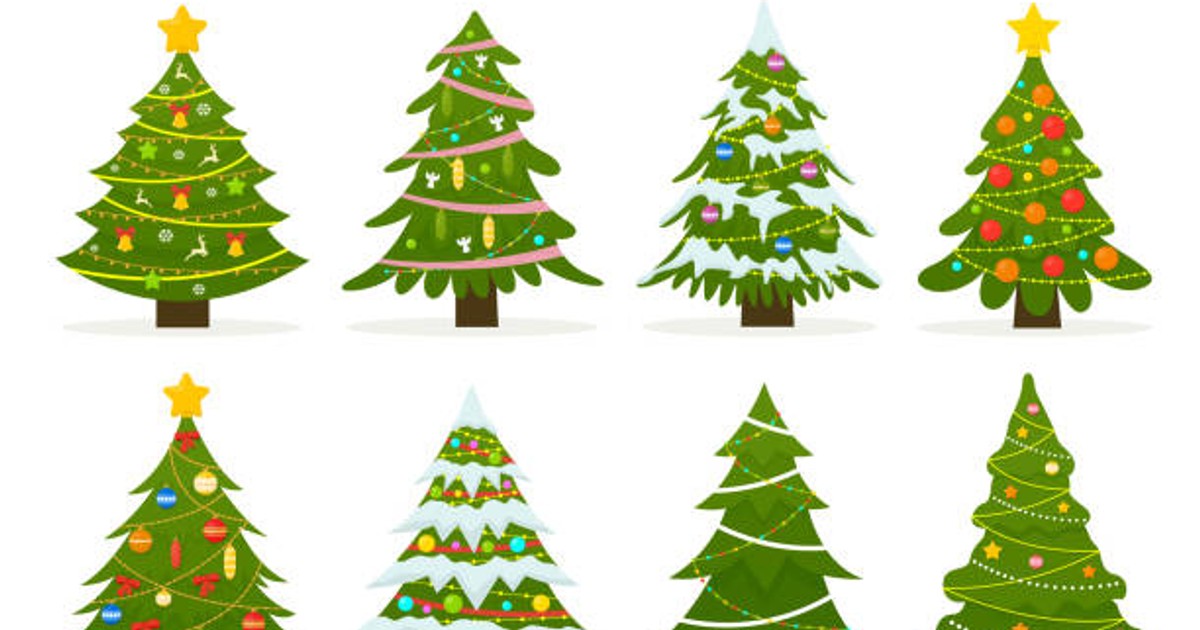 How old is the average Christmas tree? [Quiz] Pulselive Kenya
