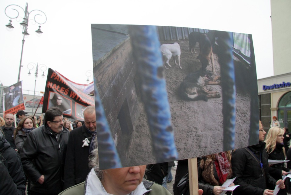 KIELCE MANIFESTACJA SCHRONISKO DLA ZWIERZĄT