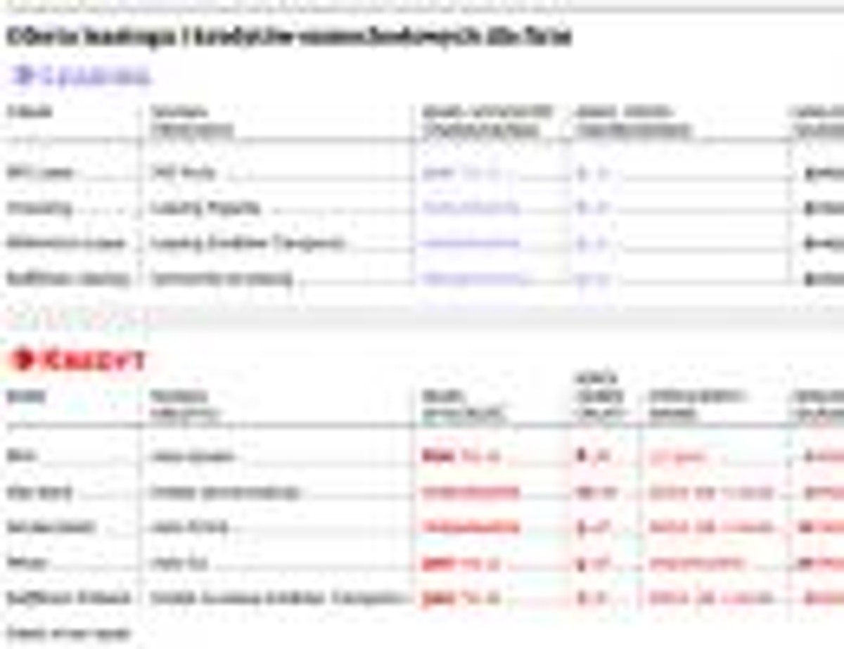 Oferta leasingu i kredytów samochodowych dla firm