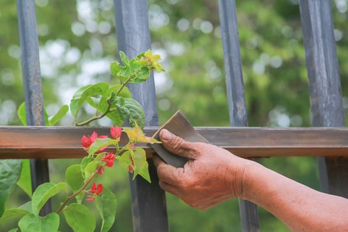 shutterstock 1581847504