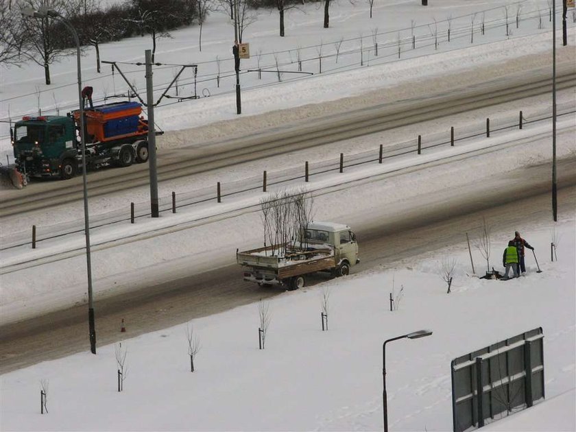 Uwaga! Zima ogłupiła wielu Polaków!