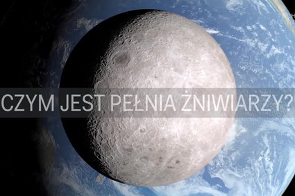 Co to jest "pełnia żniwiarzy"?