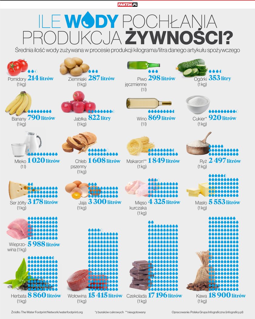 Infografika