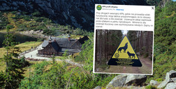 W polskim parku narodowym pojawiły się żółte tabliczki. Strażnicy ostrzegają