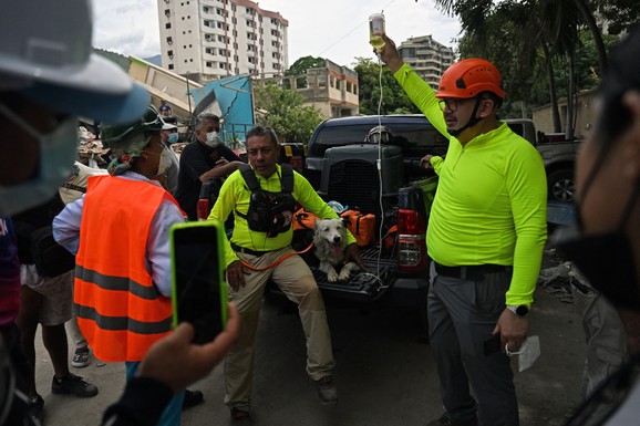(VIDEO) Pas tragač Cunami postao SIMBOL NADE u Venecueli: Spasio je skoro 100 života nakon razornog zemljotresa
