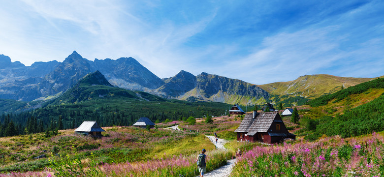 Piękne, malownicze i łatwe szlaki w Tatrach. Sprawdź, gdzie pojechać w Tatry