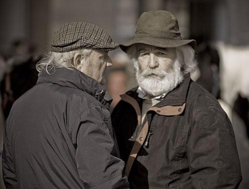 Galeria Irlandia - Dublin - Koński targ na Smithfield Market, obrazek 9