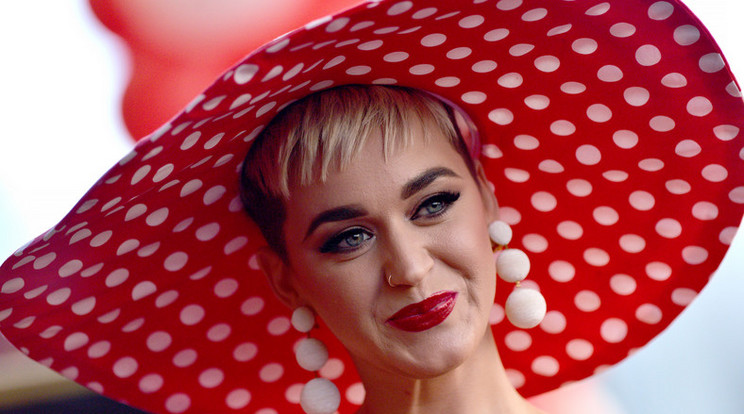 Katy Perry nem félős típuús /Fotó: Northfoto