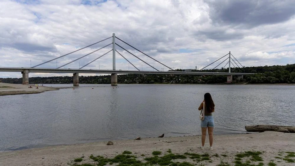 Dunav kod Novog Sada kraj jula-početak avgustva 2026. | Foto: REUTERS/Djordje Kojadinovic