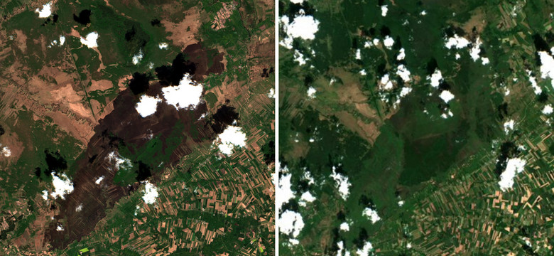 Zdjęcia satelitarne po pożarze w Biebrzy. "Natura zawsze sobie poradzi"
