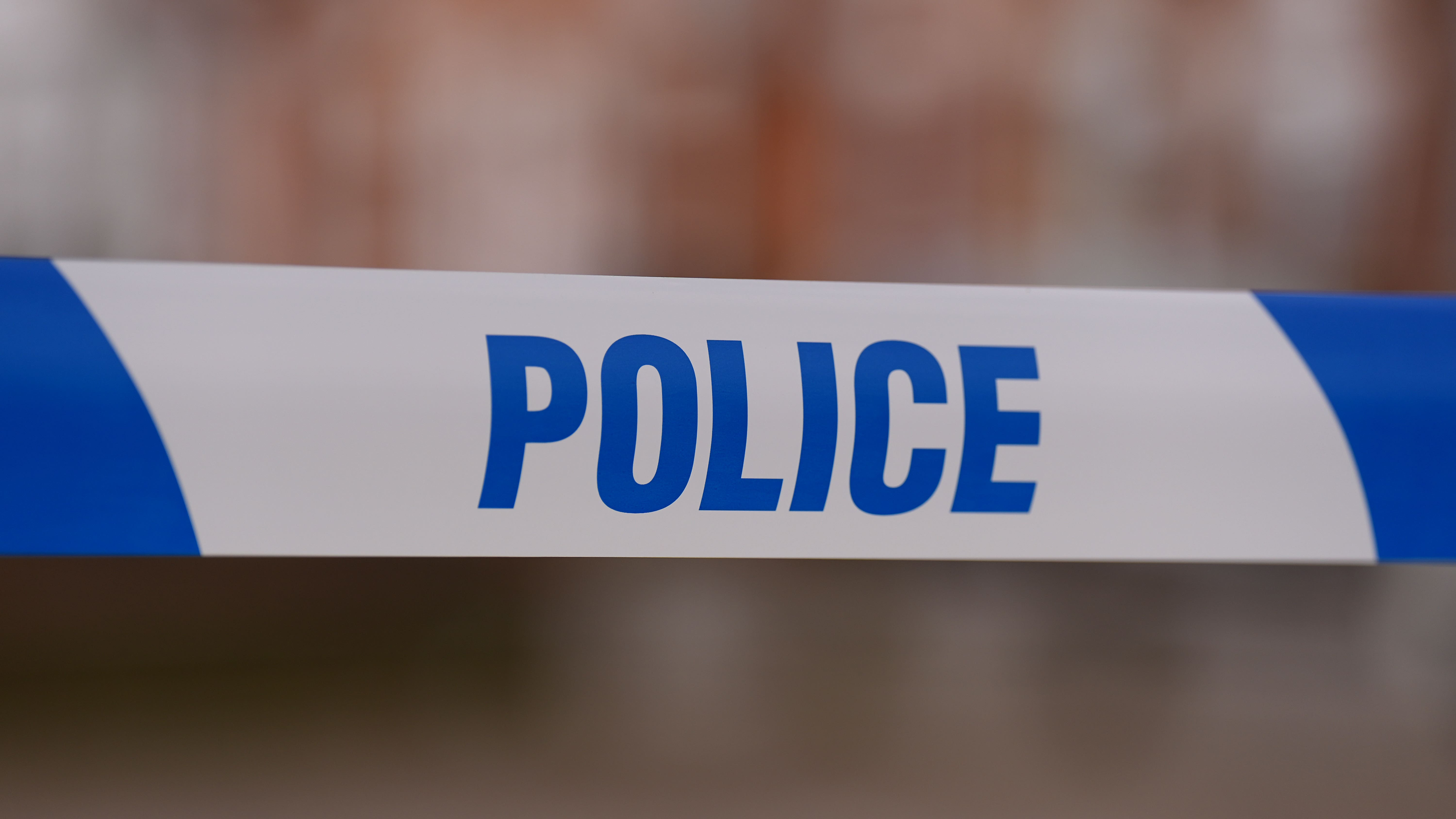 Dog attack kills 9-month-old baby in Wales - police seize animal