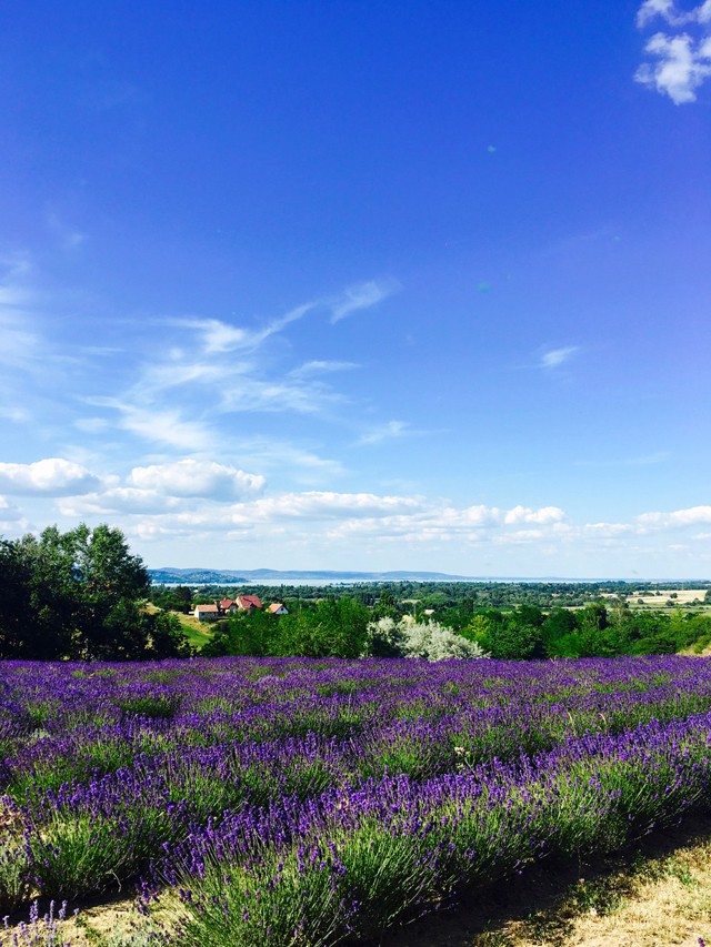 Egy hely, ahova idén MUSZÁJ ellátogatnod
