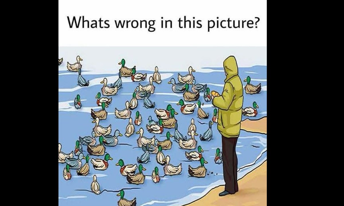Co jest nie tak na tym obrazku? Zagadka tylko dla spostrzegawczych