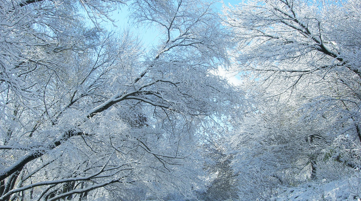 Nyugaton havazik, de nem marad meg a hó /Fotó: Northfoto - illusztráció