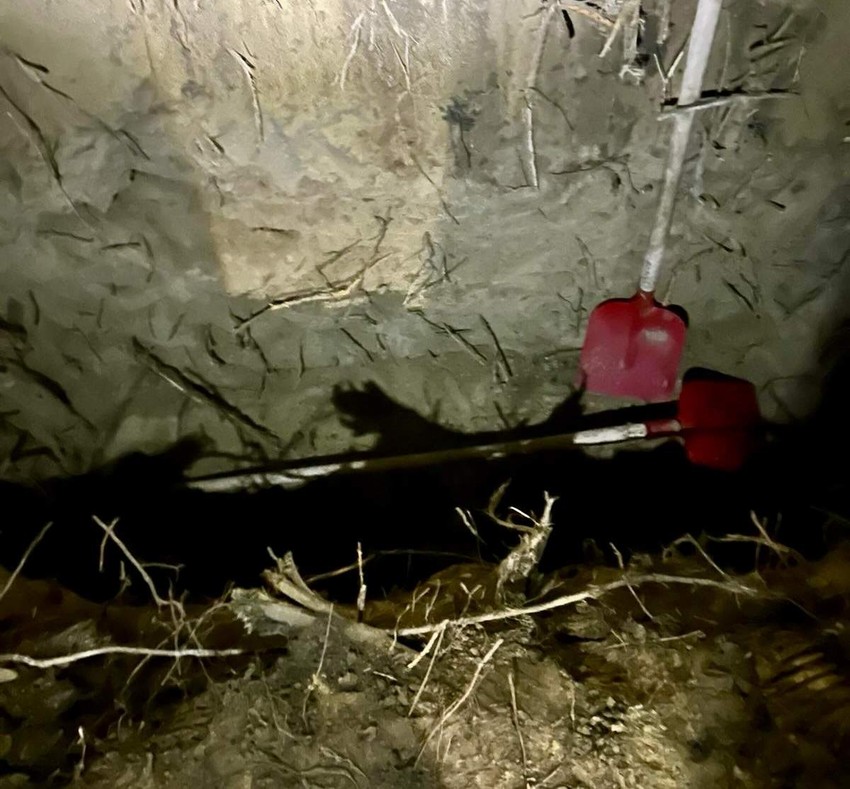 policija organizovni kriminal ubistvo hapšenje